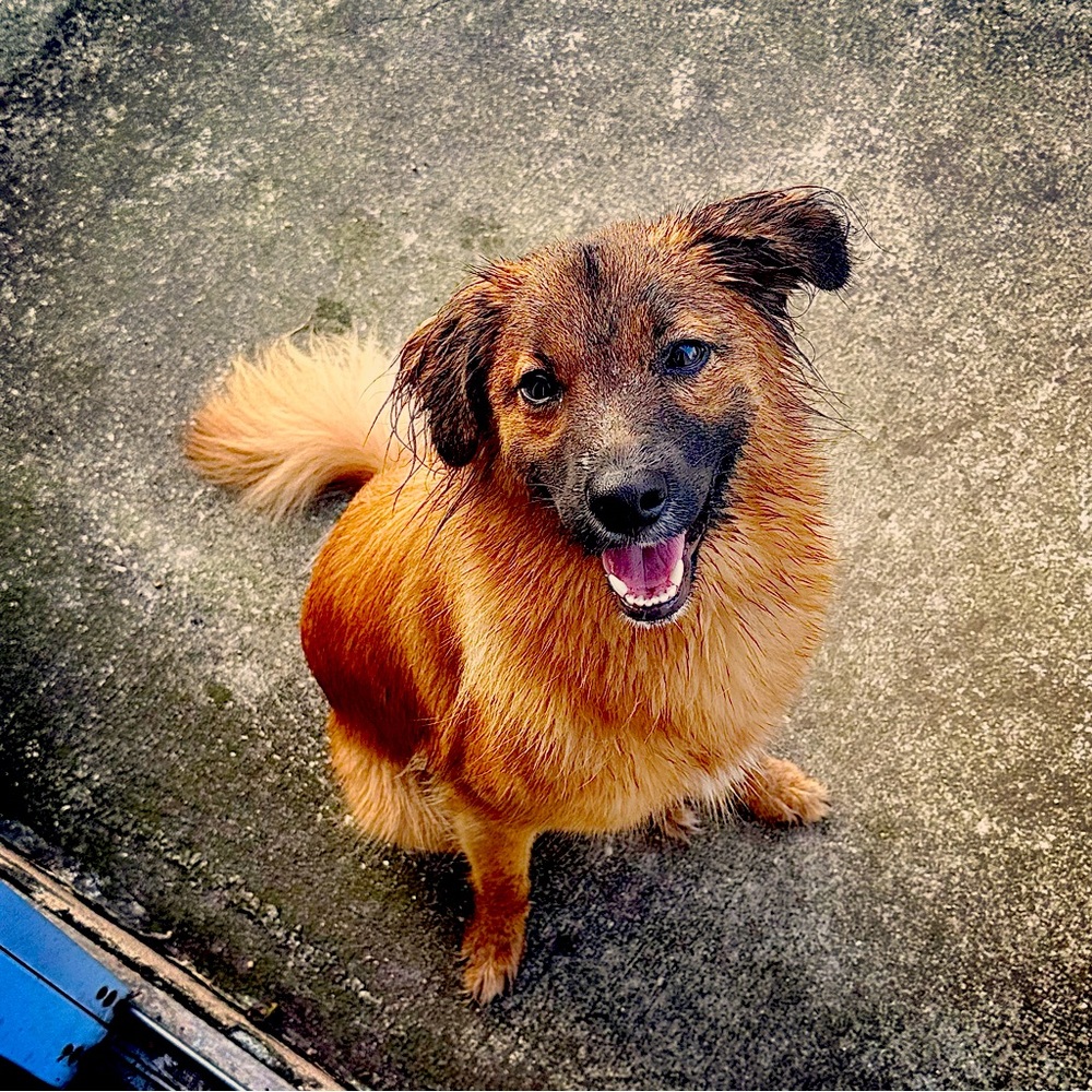 Meet your Posher, Berry